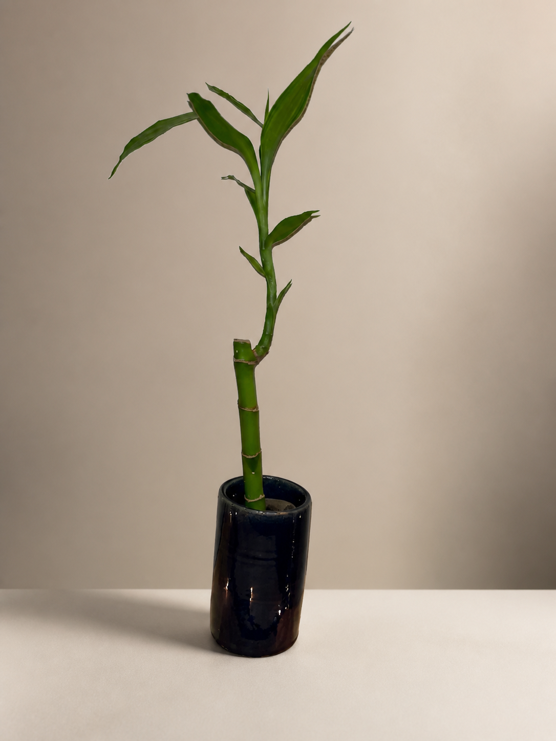 A bamboo-style planter.
